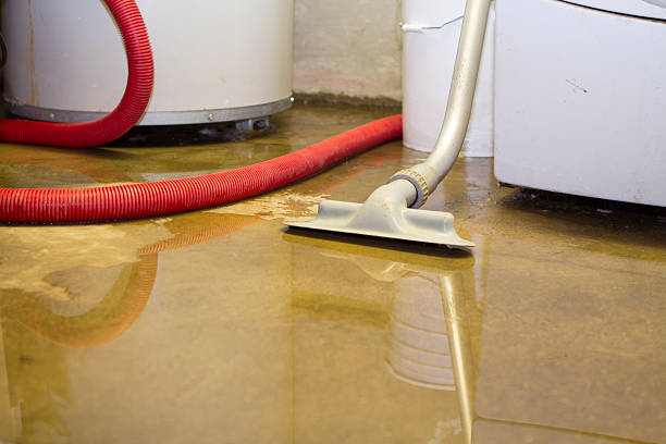 Trusted Suffolk, VA Water damage restoration Experts