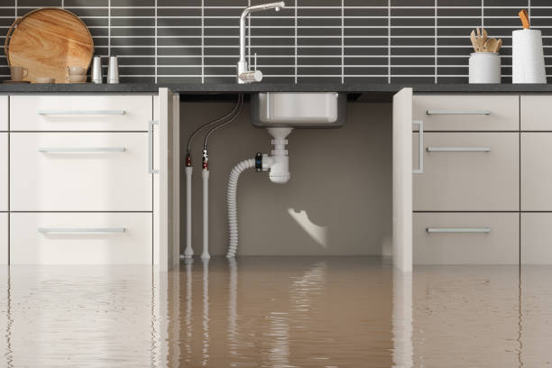 Trusted Water Damage Restoration in Suffolk, VA | Fast, Reliable, and Ready to Assist You